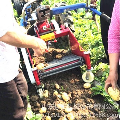 ji佳思生產土豆收獲機 多功能地瓜收獲機