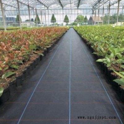 廠家黑色防草布 工農(nóng)業(yè)用大棚果園防草地布 遮陽pp除草布