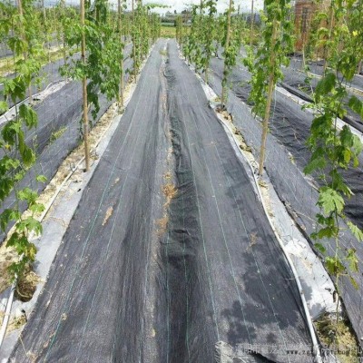 黑色90克防草布 果樹種植防草布 山東pp防草布生產廠家