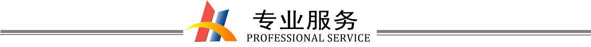 專業服務