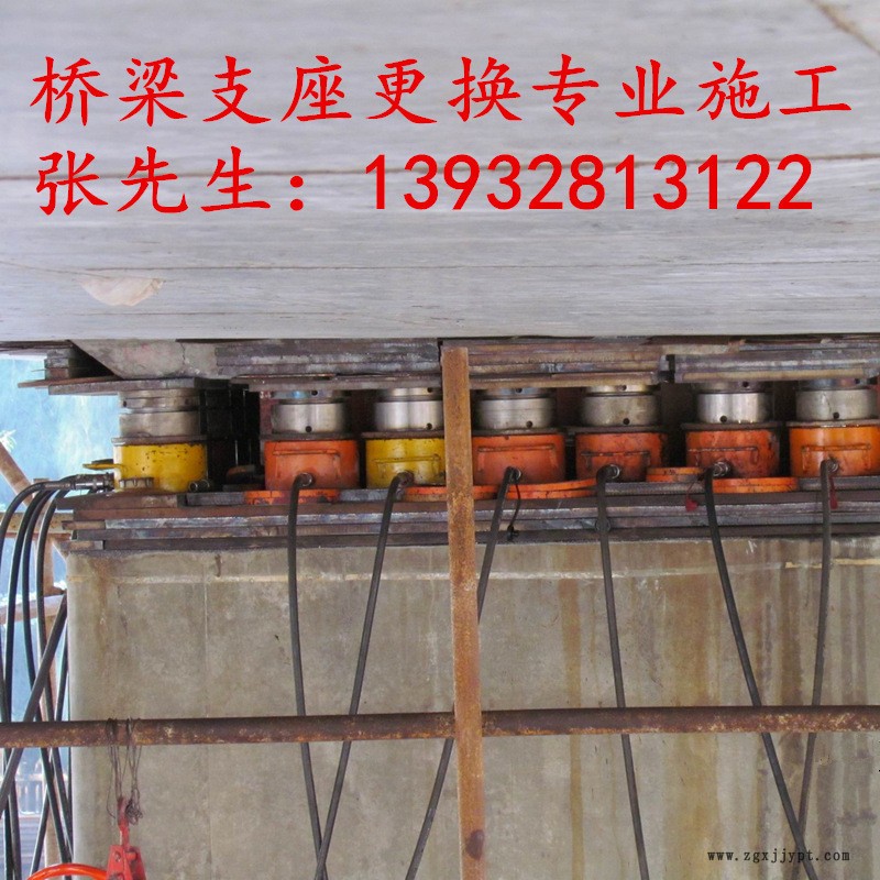 定制卓正橡塑 球型支座 鋼結(jié)構(gòu)支座 專業(yè)供應可定制