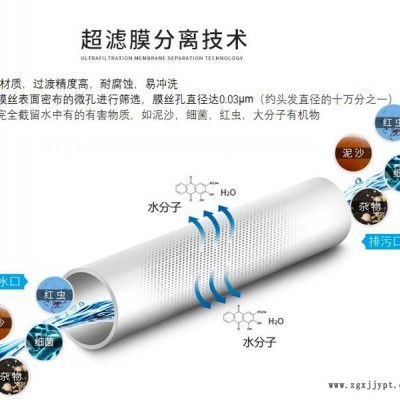 UF超濾膜  PVDF超濾膜，PVDF材質(zhì)膜絲  柱式超濾膜，替代2860