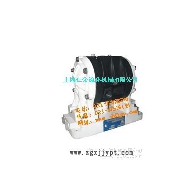 供應(yīng)上海仁公氣動聚丙烯隔膜泵RG06、微型氣動隔膜泵、PVDF氣動隔膜泵、PP氣動隔膜泵