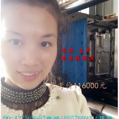 浙江小霞模具，電表箱模具廠家，專業(yè)塑料電表箱模具公司塑料模具