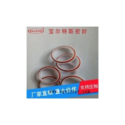 LNG回氣設備密封圈