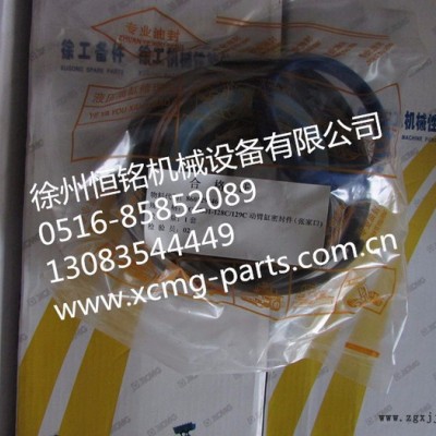 供應徐工配件XGYG01-128C/129C 缸密封件(張家口)（860129246 ）