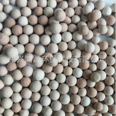 鴻源新品 廢水處理臭氧催化劑 工業廢水處理催化劑 污水處理臭氧氧化催化劑 貴金屬催化劑 免費拿樣臭氧催化劑批發