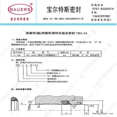 活塞桿軸用腳形滑環式組合密封TB2-IA 超高壓密封圈TB2-IA車氏密封