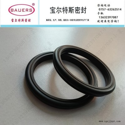 旋轉軸用齒形滑環式組合密封TB3-I 發動機齒輪箱密封 高壓旋轉密封