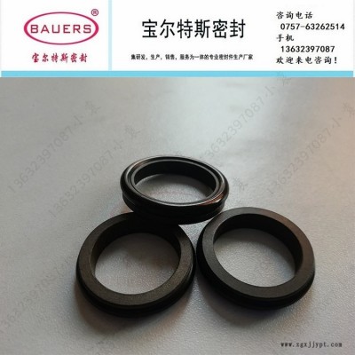 活塞桿軸用C形滑環式組合密封TB4-IA C型氣動密封 寶爾特斯