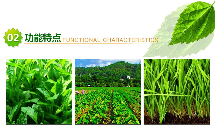 【廠家供應(yīng)】花木草坪增綠劑 葉綠素促進劑增綠粉 植物生長調(diào)節(jié)劑示例圖3