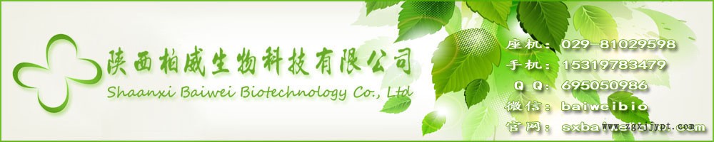 茶皂素 85% 茶樹籽提取物 發泡劑 表面活性劑 工廠批發 品質保證示例圖1