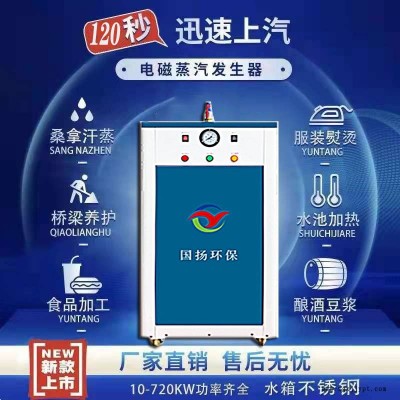 性能高電加熱設備 模溫機用電加熱蒸汽發生器 電熱蒸汽鍋爐 滄州國揚廠家 可按需定制