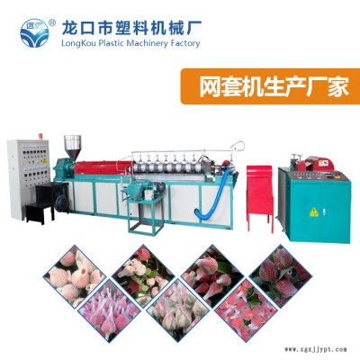 香梨網墊加工機廠家-網墊加工機-龍口塑機產品好(查看)
